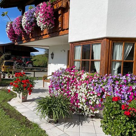 Gaestehaus Seeklause ชวานเกา ภายนอก รูปภาพ